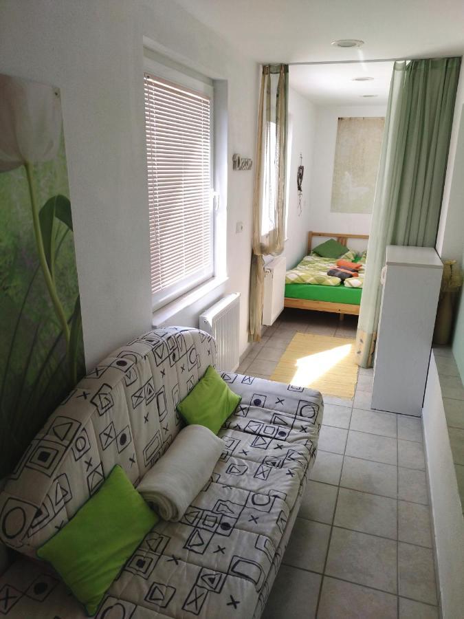 Apartma Peter1A Begunje na Gorenjskem Kültér fotó
