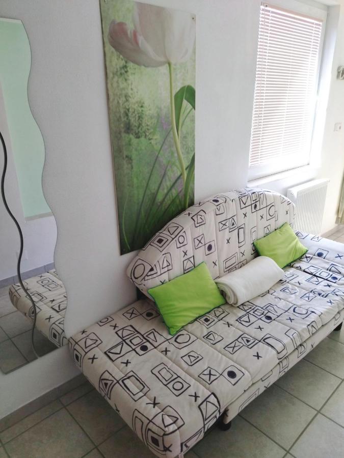 Apartma Peter1A Begunje na Gorenjskem Kültér fotó