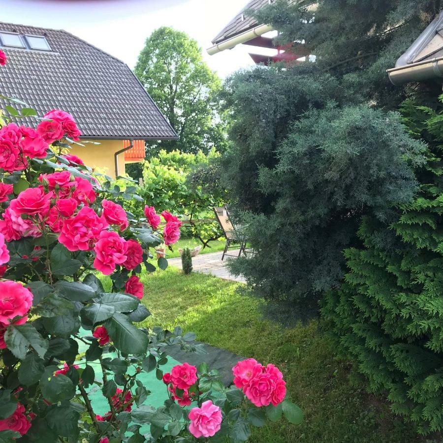 Apartma Peter1A Begunje na Gorenjskem Kültér fotó
